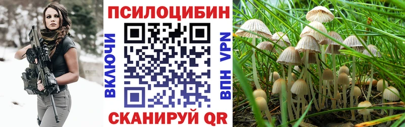 Купить где  Уварово  Галлюциногенные грибы MAGIC MUSHROOMS 
